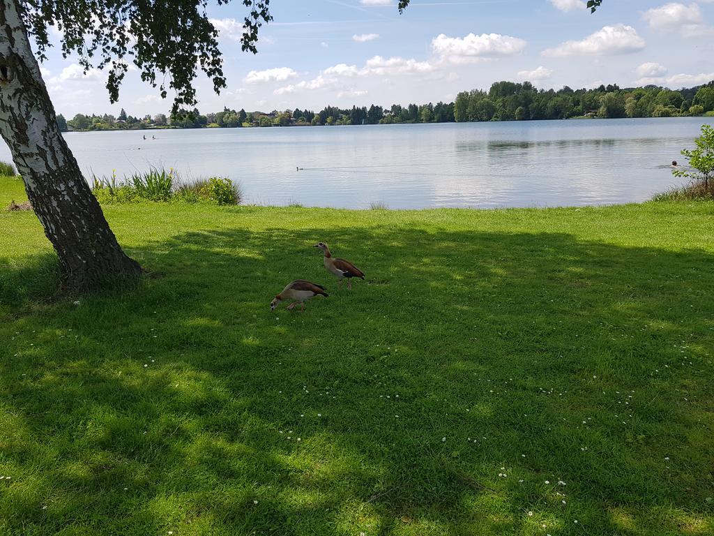 Ferienhaus Am See Hungen ภายนอก รูปภาพ